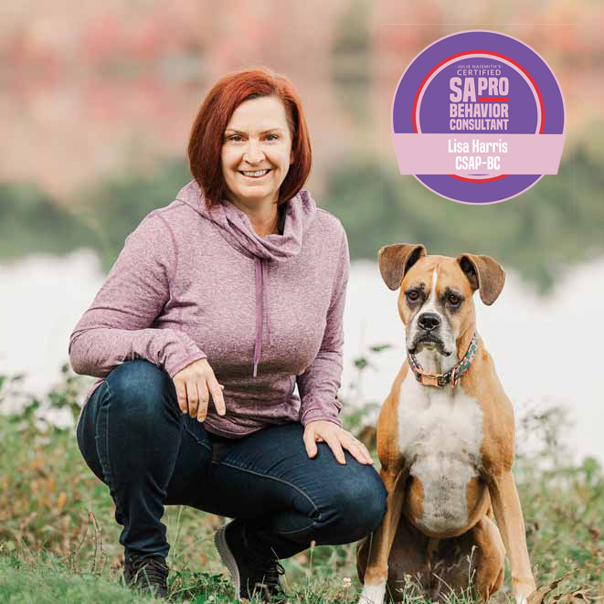 Lisa Harris: Woof Ip Up Business Owner and Dog Trainer